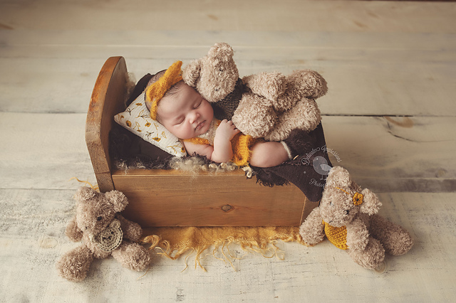 Goldy Locks and her three bear friends