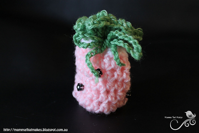 Watermelon Pouch