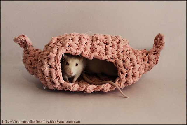 Rattie House Take 2