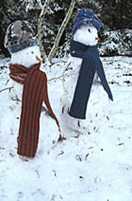 Twin Rib Scarves