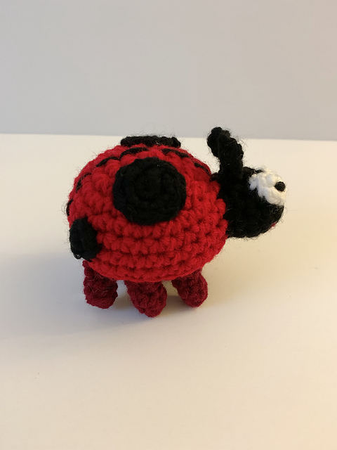 Lucky Ladybug