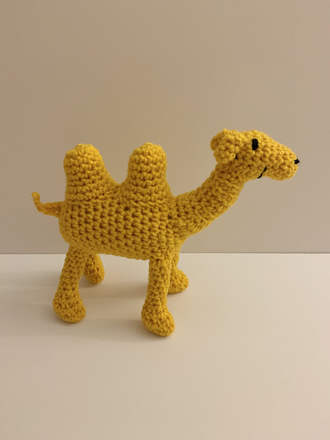 Casey the Camel