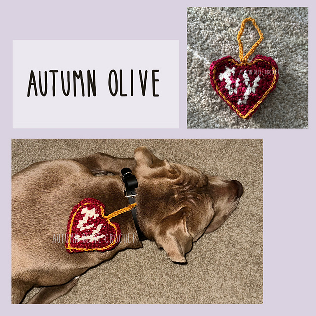 baby bean pet tag