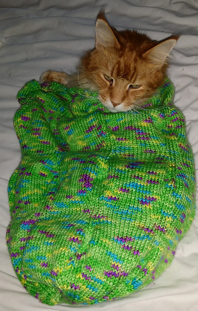 Caterpillar Cocoon