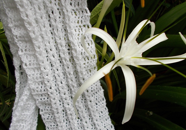 Plaited Scarf