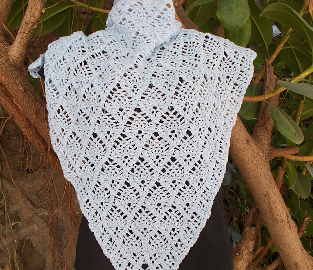 Lucknawi Wrap