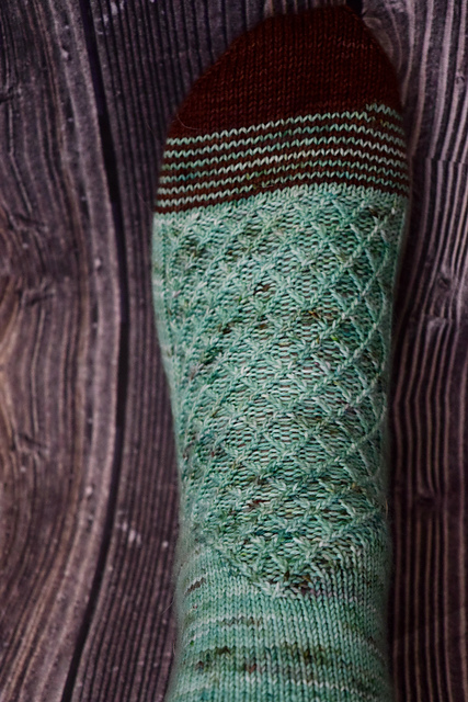 Welly's Socks