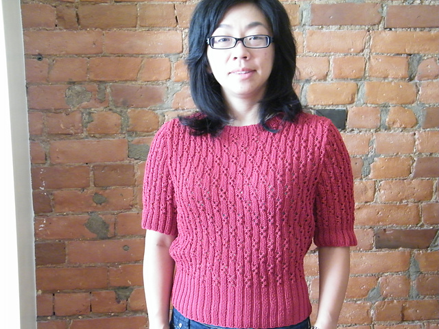 Short-Sleeved Ribbed Lace Sweater