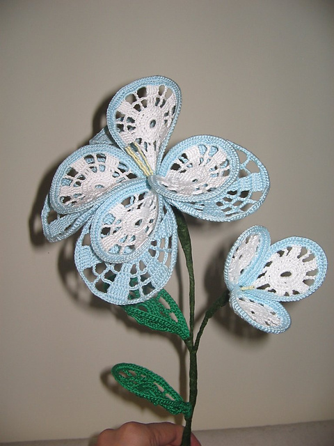 fiore a due colori