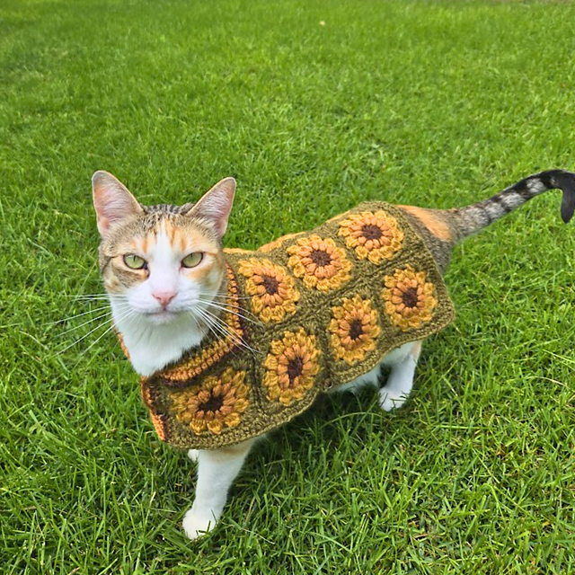 Sunflower Pet Sweater