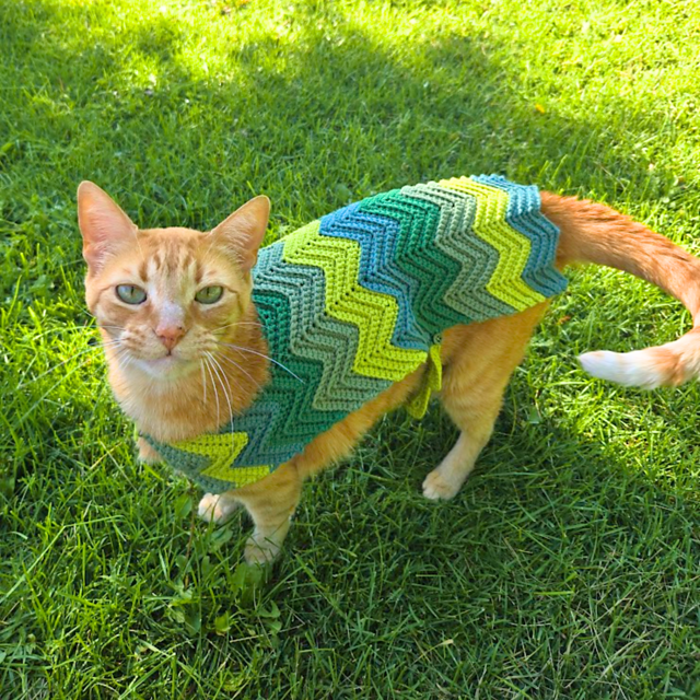 Chevron Cat Sweater