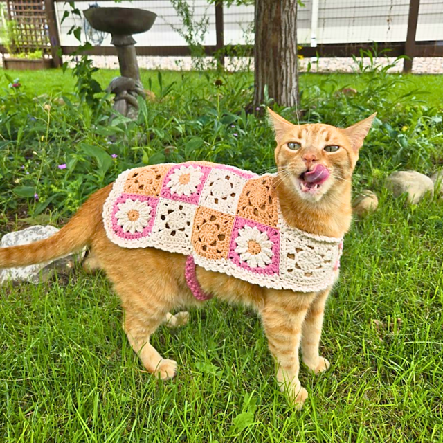 Daisy Cat Sweater