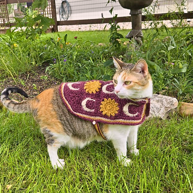 Sun and Moon Cat Sweater