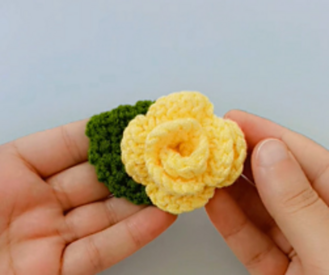 Mini Rosa