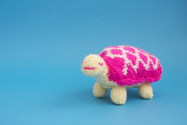 Mrs West the Tortoise