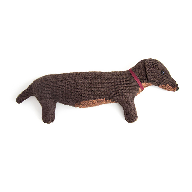 Peaches the Dachshund