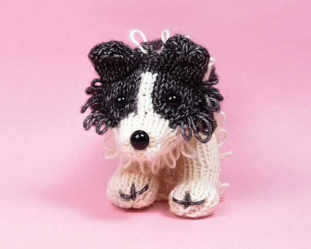 Jess the Border Collie