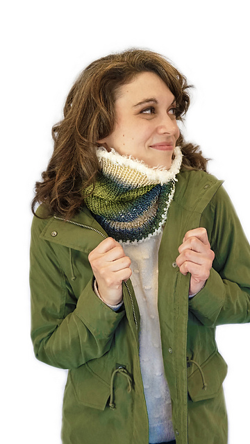 Willapa Wooly Cowl