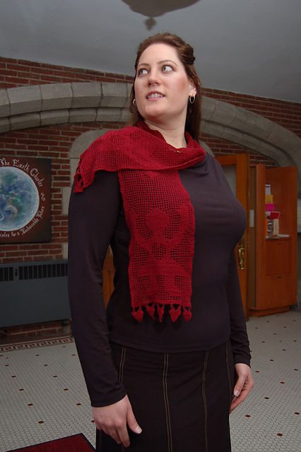 Children of the Earth Filet Lace Shawl