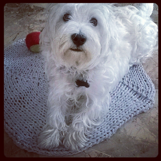 simple dog rug
