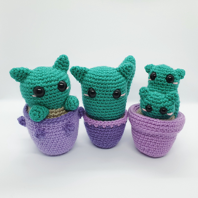 Cat Cactus