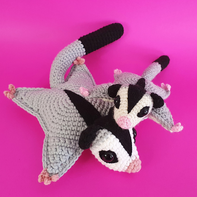 Sugar Glider