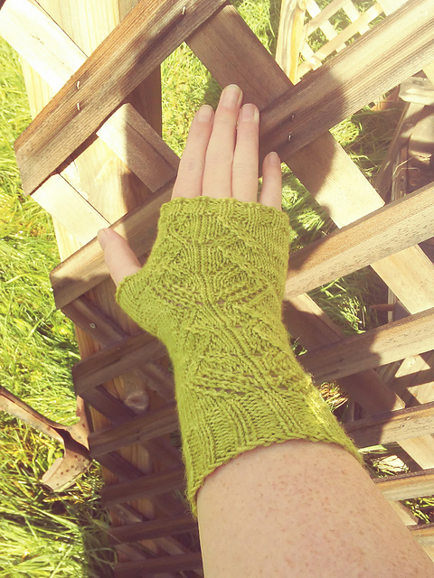 Atop the Tree Mitts
