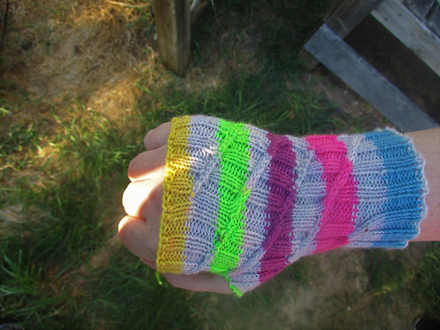 Bray's Funhouse Mitts