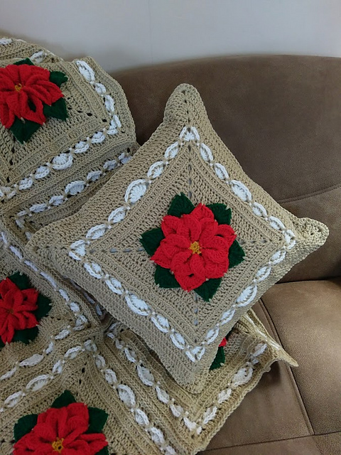 Fancy Framed Poinsettia