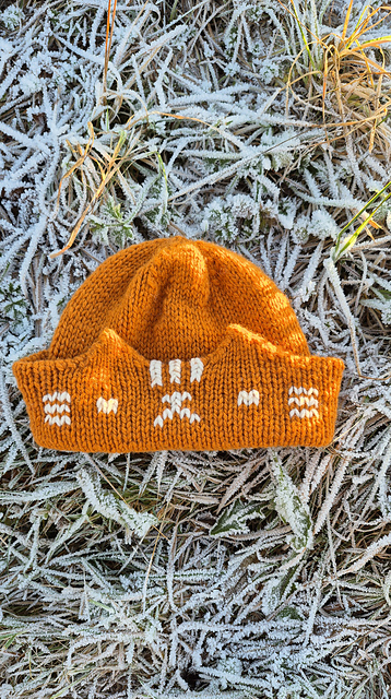 Cat brim hat