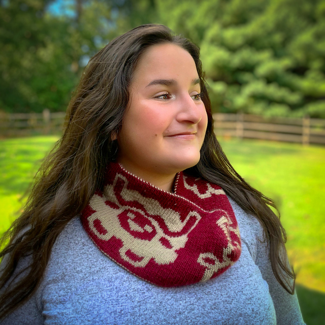 Fiber Friends Cowl
