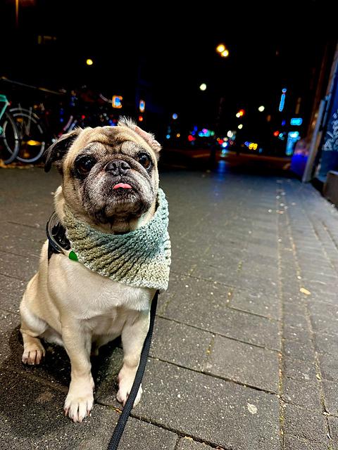 Chunky Ribbed Scarf