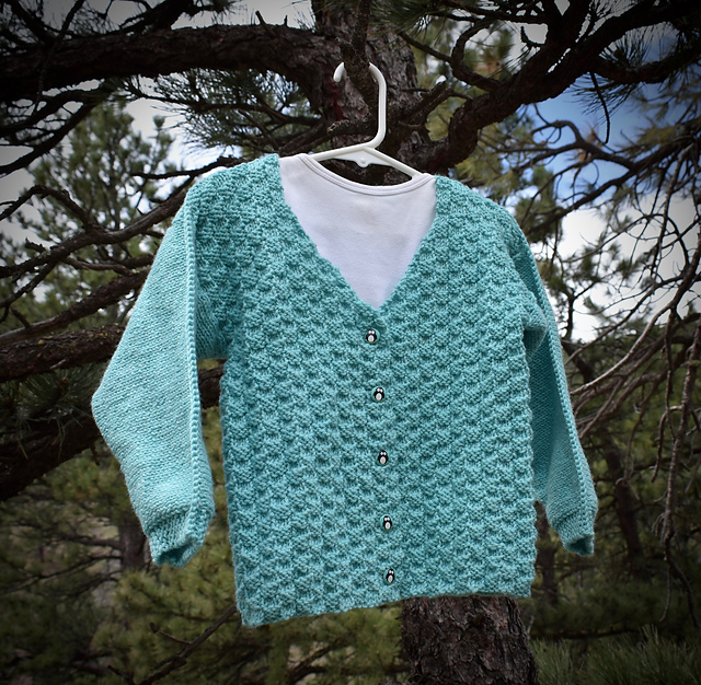 #36 V-Neck Cardigan