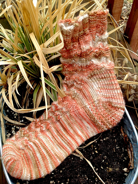 Prairie-Fire (Indian Paintbrush) Socks