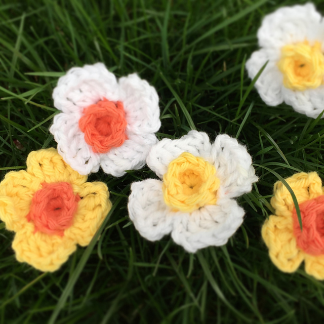 Narcissus Flower