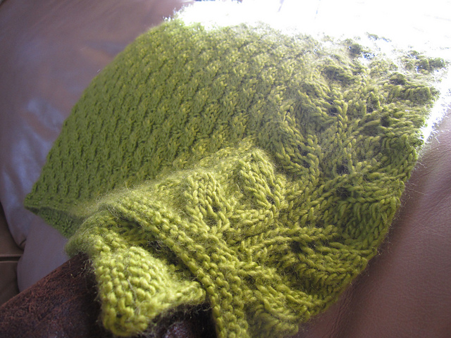 Royal Albatross Baby Blanket