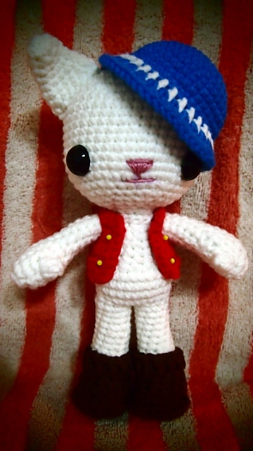Huey the cat
