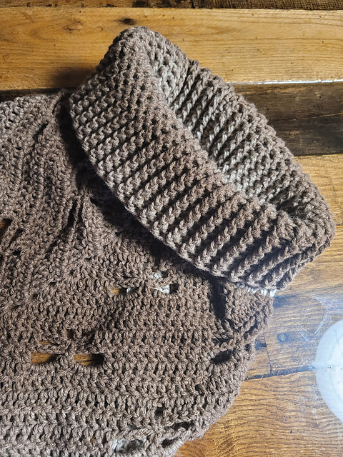 Dragonfly Sweaterneck Cowl