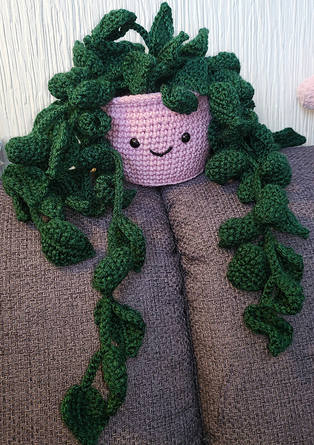 Potted plant