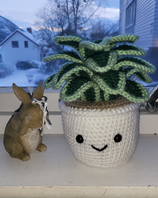 Potted plant