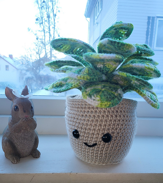 Potted plant