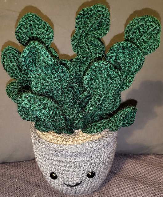 Potted plant