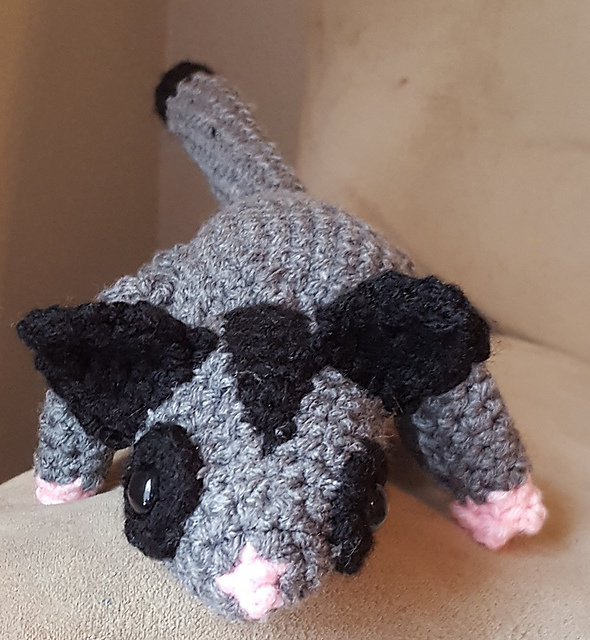 Sugar Glider