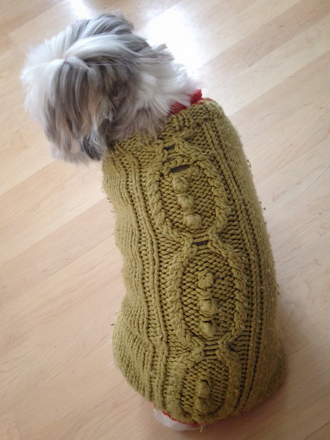 Peapod Dog Sweater