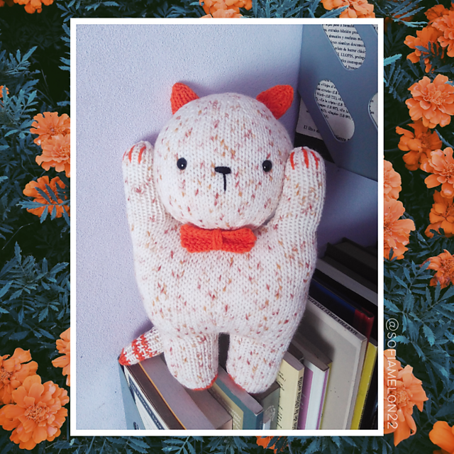 Bony Mi Gatito