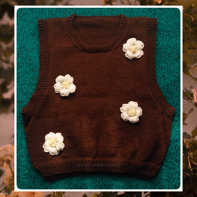 Chaleco Marron  XL