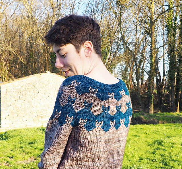 Prairie Cats Pullover