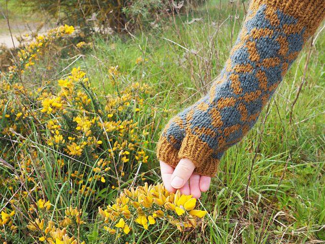 Hortensia Mitts