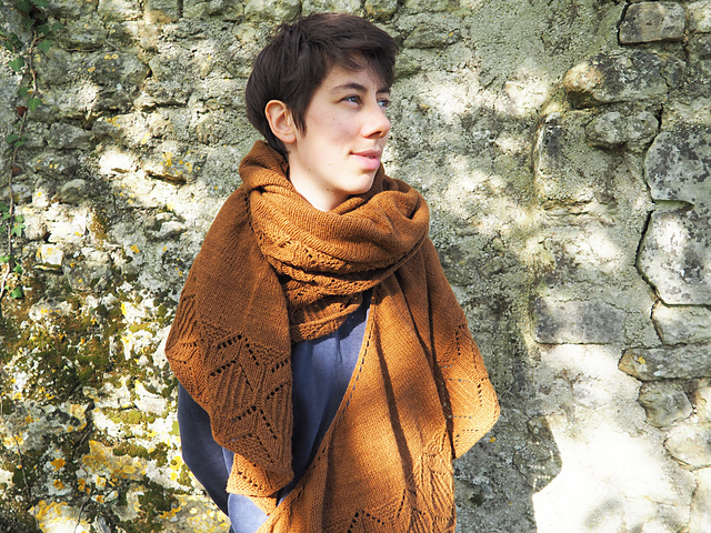 Ecorce Shawl
