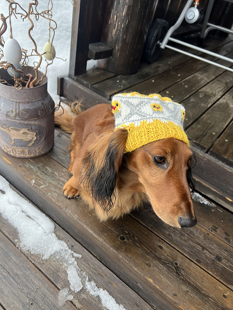 Frida`s påskelue